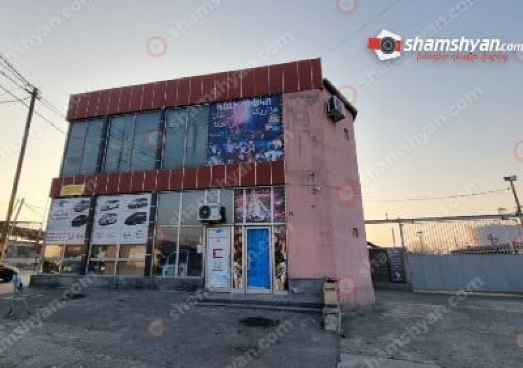 Երևանում Թուրքիայի 31-ամյա քաղաքացին վնասել է պարեկների մեքենան, կոտրել «Դալի» դիսկո-ակումբի դռան ապակին. Shamshyan.com