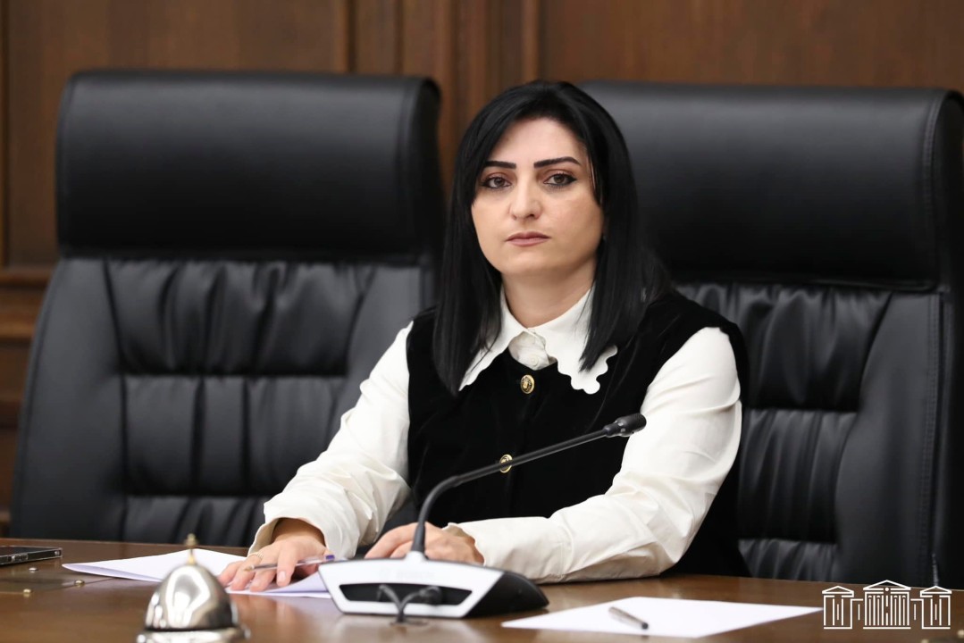 Թագուհի Թովմասյանը հրատապ գրություններ է ուղարկել միջազգային գործընկերներին՝ պահանջելով պատասխանատվության ենթարկել Ադրբեջանին