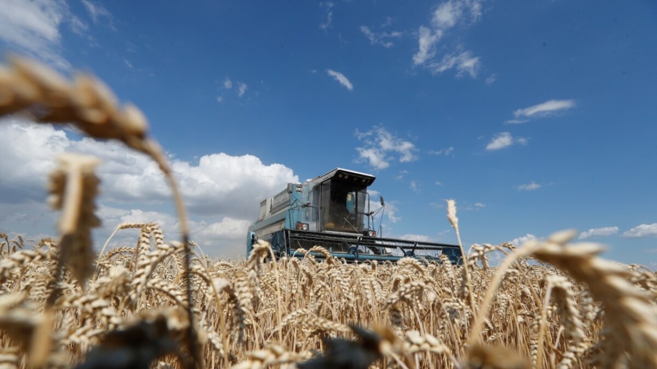 ՌԴ-ն դեկտեմբերի 1-ից կարգելի դեպի Հայաստան ցորենի արտահանումը