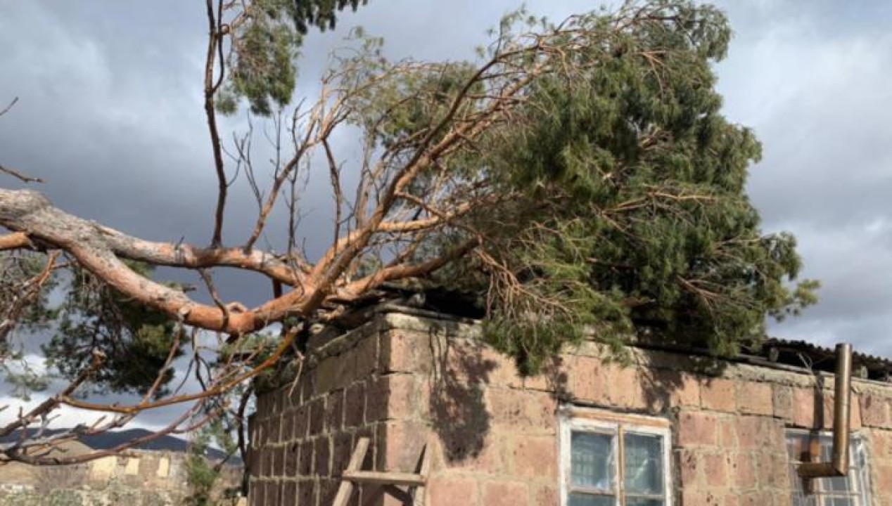 Լոռու մարզի ճանապարհներին տանիքներ են վնասվել, ծառեր են կոտրվել