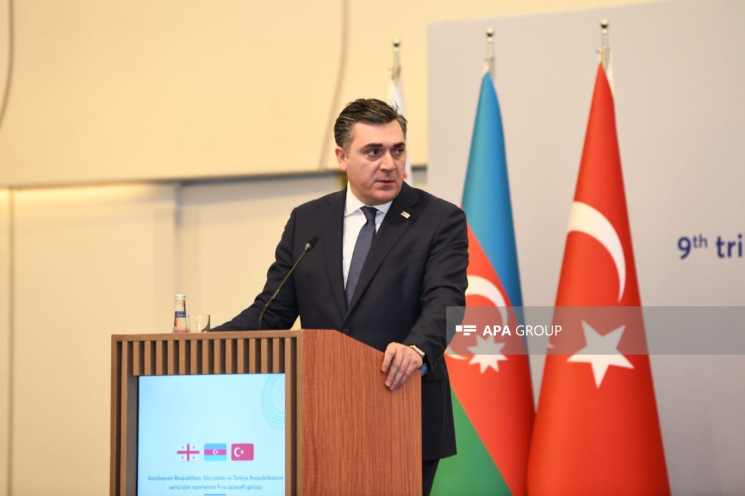 Հուսով ենք, որ Ադրբեջանն ու Հայաստանը շուտով խաղաղության պայմանագիր կստորագրեն. Վրաստանի արտգործնախարար